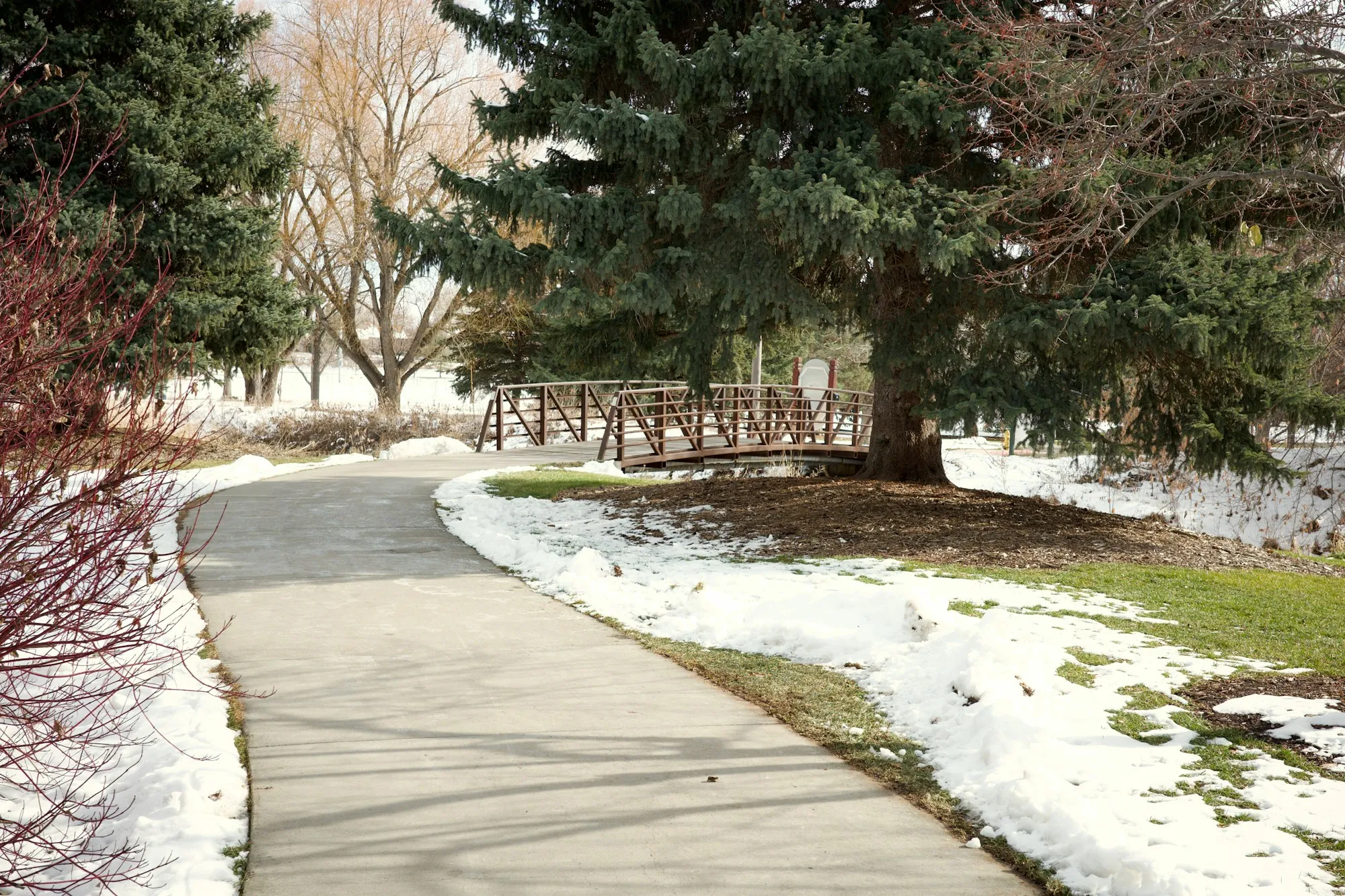 Concrete path curving through a park with patches of snow